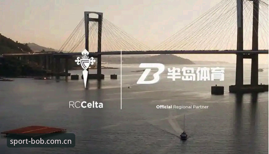 世界杯观赛签证难题实用指南——半岛体育老用户分享如何应对“冷场”危机