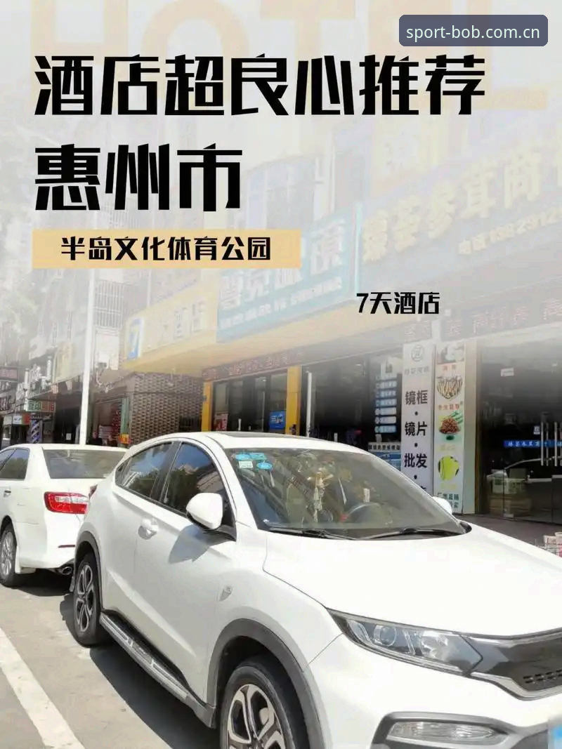 半岛体育官方平台深度分析：从用户体验到功能全景的全面解析